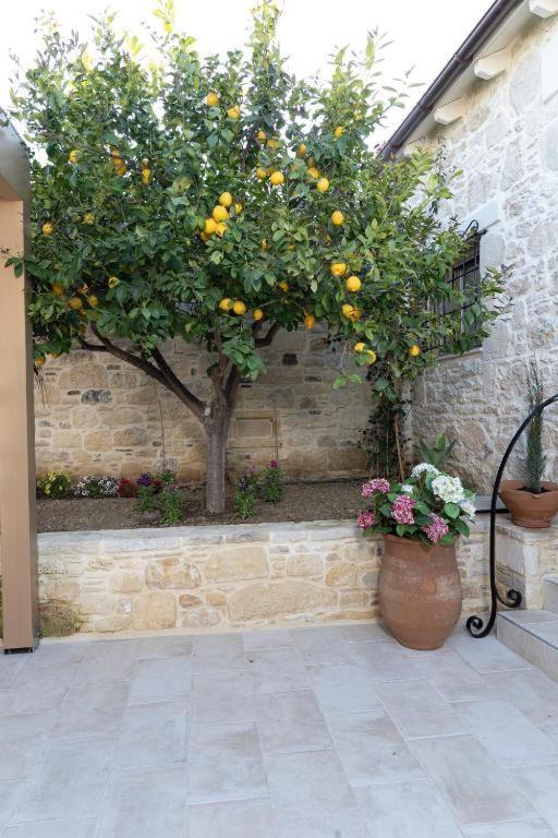 Cretan Rhapsody - Rustick Villa In Siva Sivas ภายนอก รูปภาพ